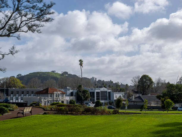 New Zealand International Education Market 